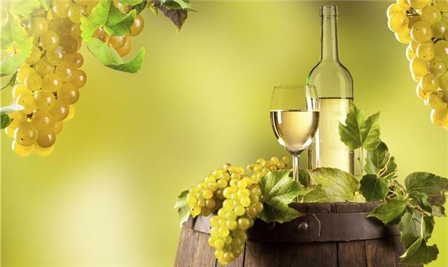 Rượu Vang Chile Mancura Guardian Reserva Chardonnay