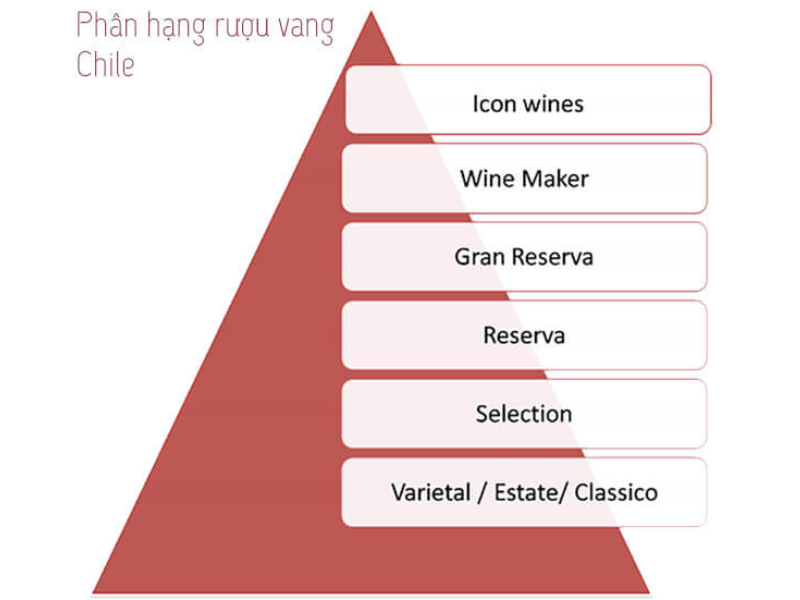 Hệ thống 6 cấp độ của rượu vang Chile