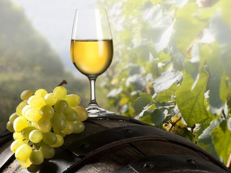 Nho Chardonnay dùng sản xuất các loại vang trắng có hương vị mạnh mẽ, cuốn hút