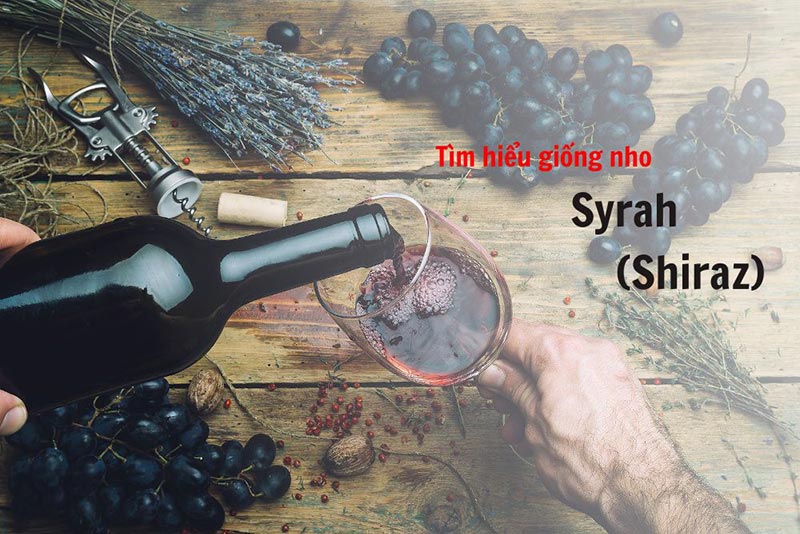 Rượu vang Shiraz