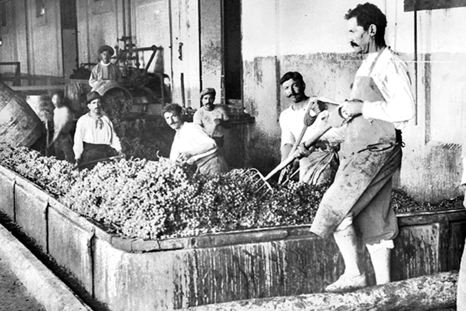 Các phương pháp sản xuất rượu vang Argentina