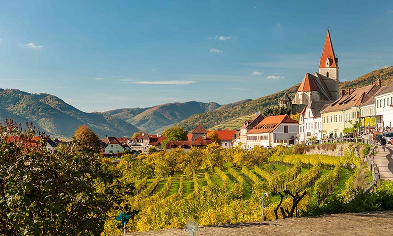 Hình ảnh một vùng rượu vang của Áo