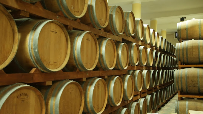 thùng rượu nhà sản xuất Rượu vang Cantine San Pancrazio