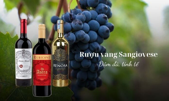 Rượu vang Sangiovese - Hương vị của Ý