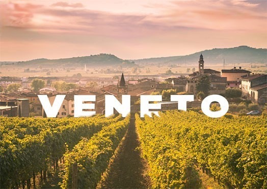 Rượu vang Veneto